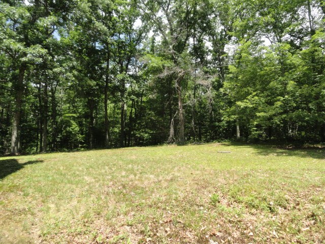 167 Pig Hill Road Coventry, RI 02827 - Photo 8 of 23 Gallery Image 8