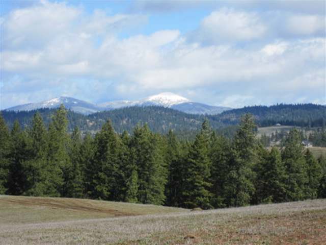 11137 North Forker Road Spokane, WA 99217 - Photo 3 of 9