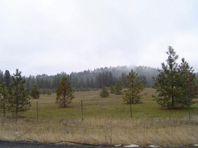 10702 South Spotted Road Cheney, WA 99004 - Photo 9 of 9