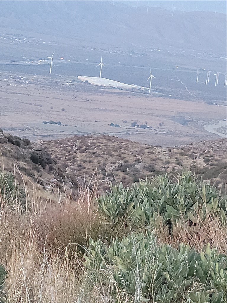 48850 Horse Trail Road Banning, CA 92220 - Photo 13 of 13