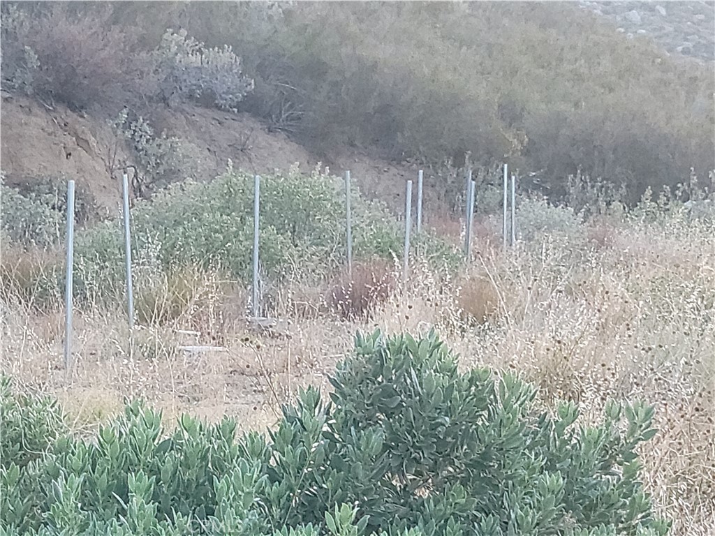 48850 Horse Trail Road Banning, CA 92220 - Photo 2 of 13