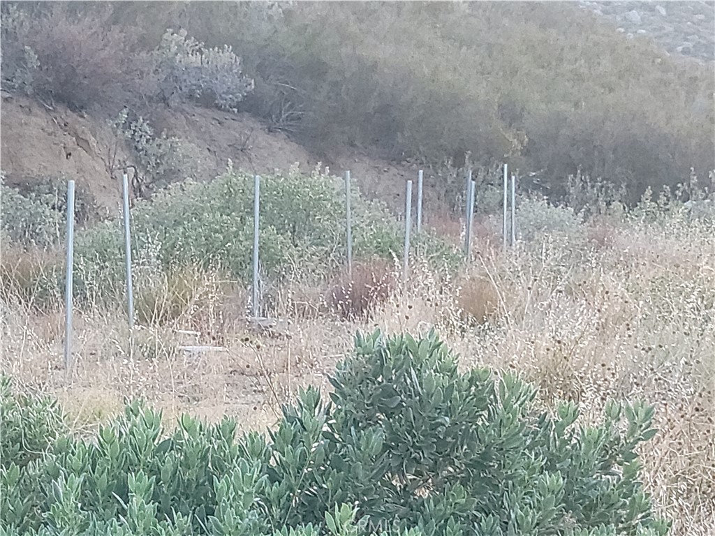 48850 Horse Trail Road Banning, CA 92220 - Photo 9 of 13