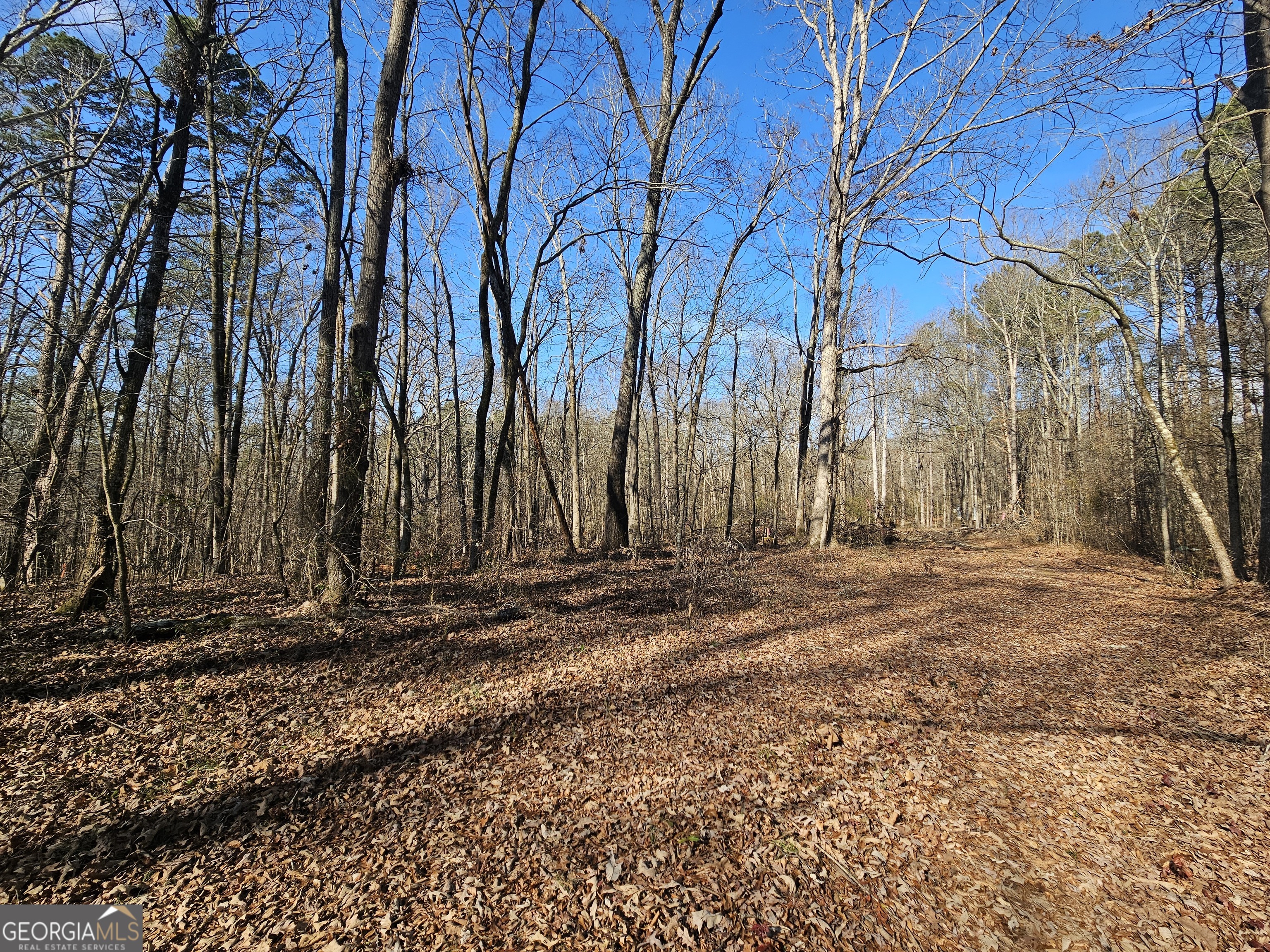Lot 2 Manning Gin Road Winder, GA 30680 - Photo 1 of 1 Gallery Image 1