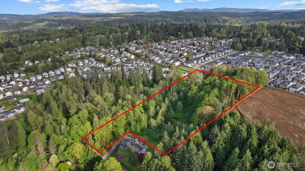 a view of a city with lush green forest
