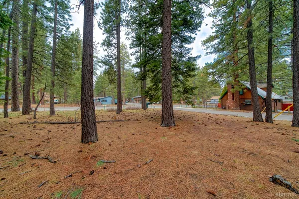 a view of a tree in the middle of a yard