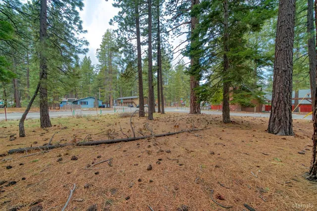 a view of road and trees