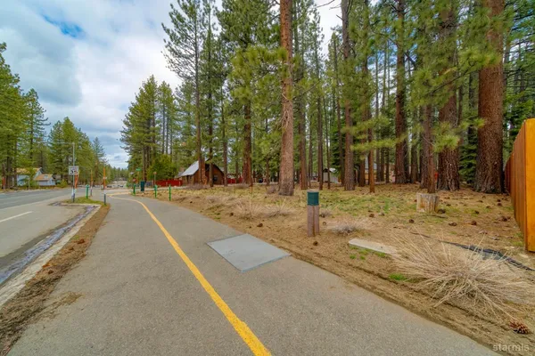 a view of road with trees