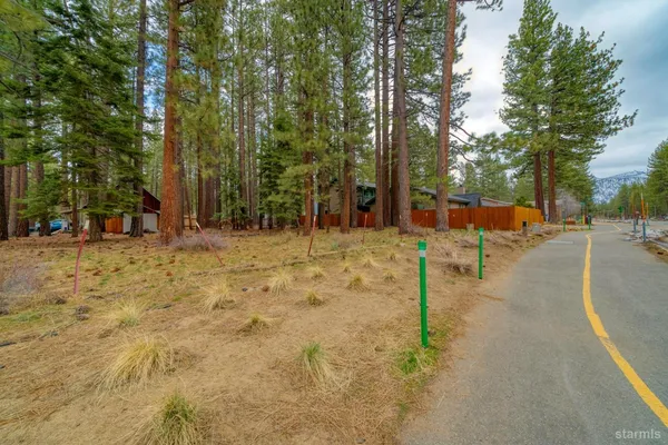 a view of outdoor space with deck and trees