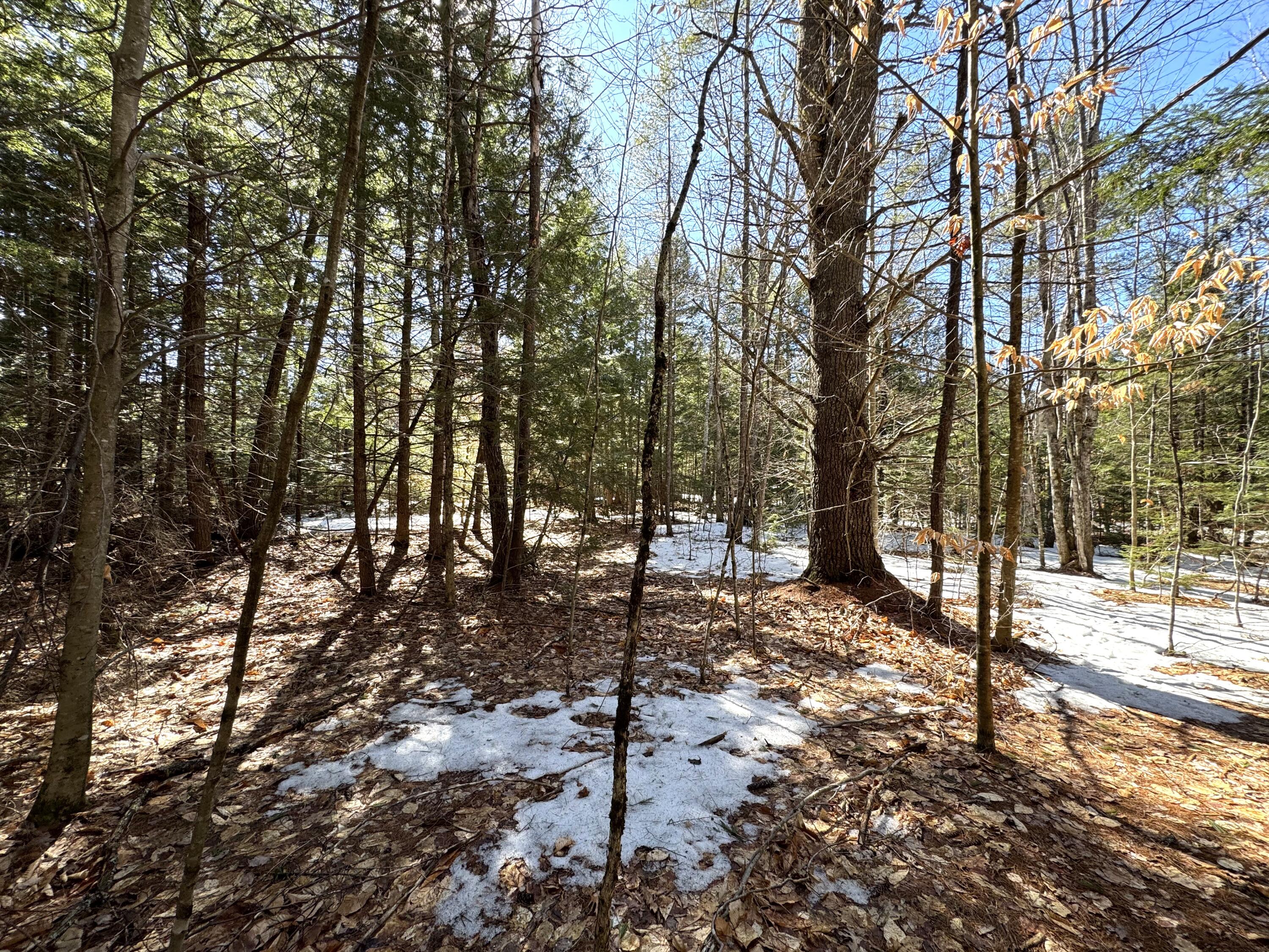 Great building lot