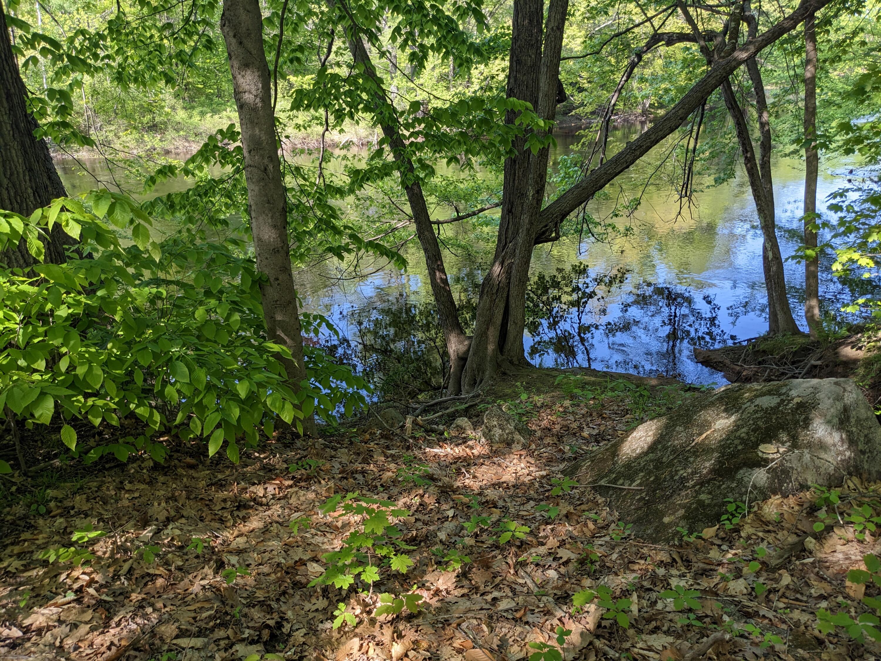 25 Bridge Street Cornish, ME 04020 - Photo 18 of 33 PXL_20230522_201422635