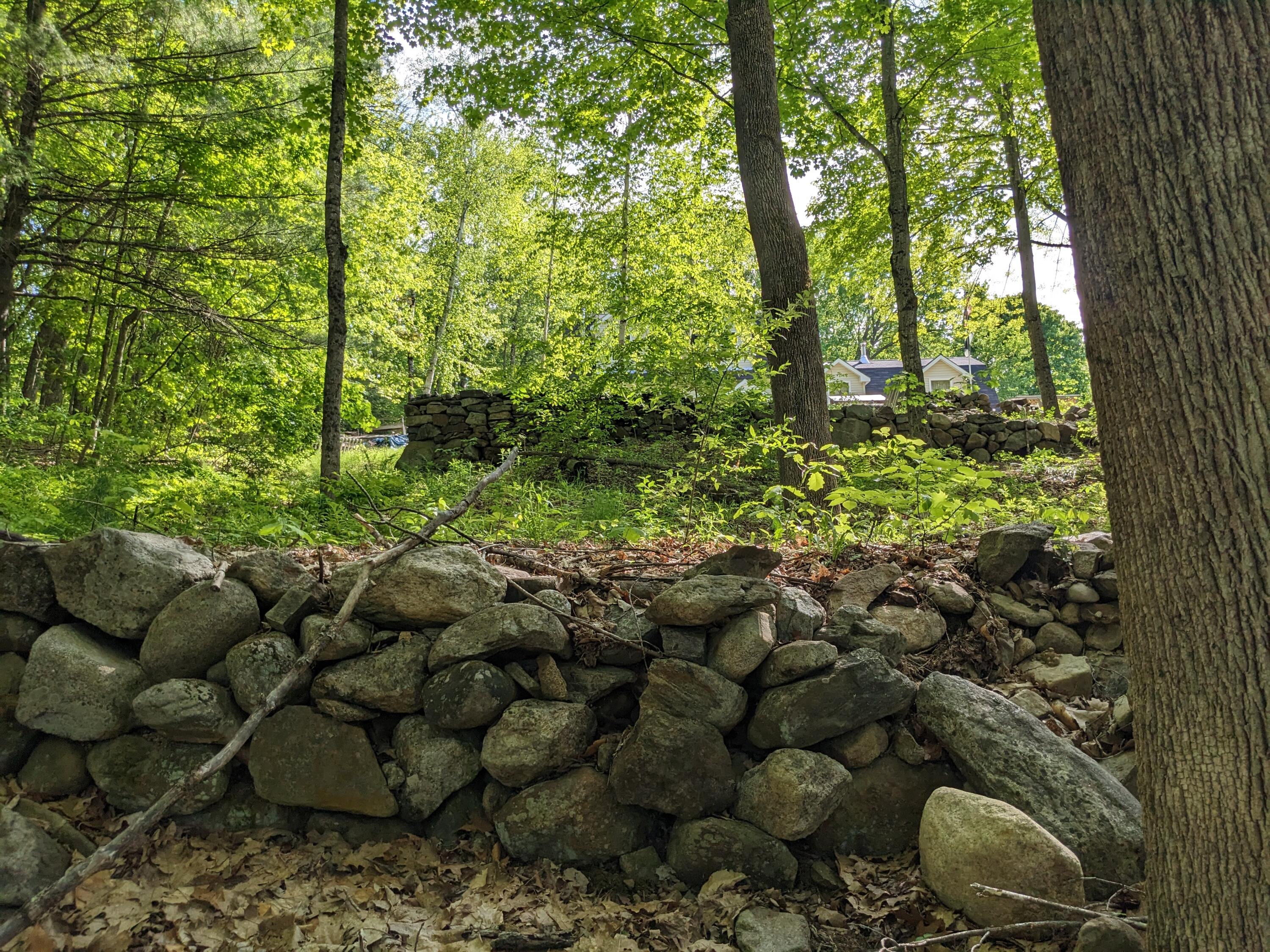 25 Bridge Street Cornish, ME 04020 - Photo 19 of 33 PXL_20230522_201418982