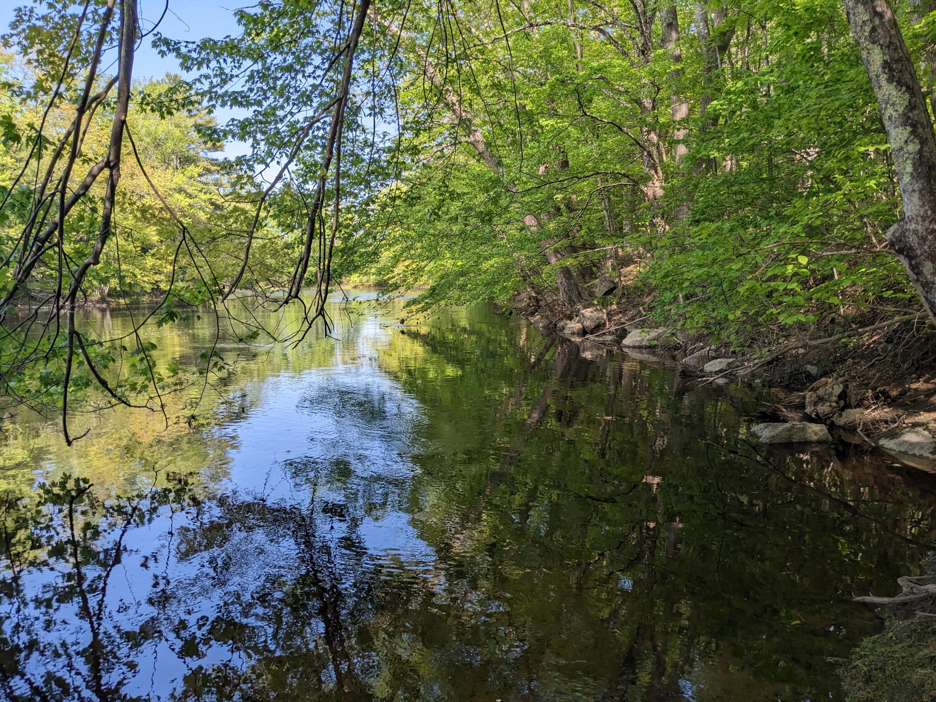 25 Bridge Street Cornish, ME 04020 - Photo 22 of 33 PXL_20230522_201502374