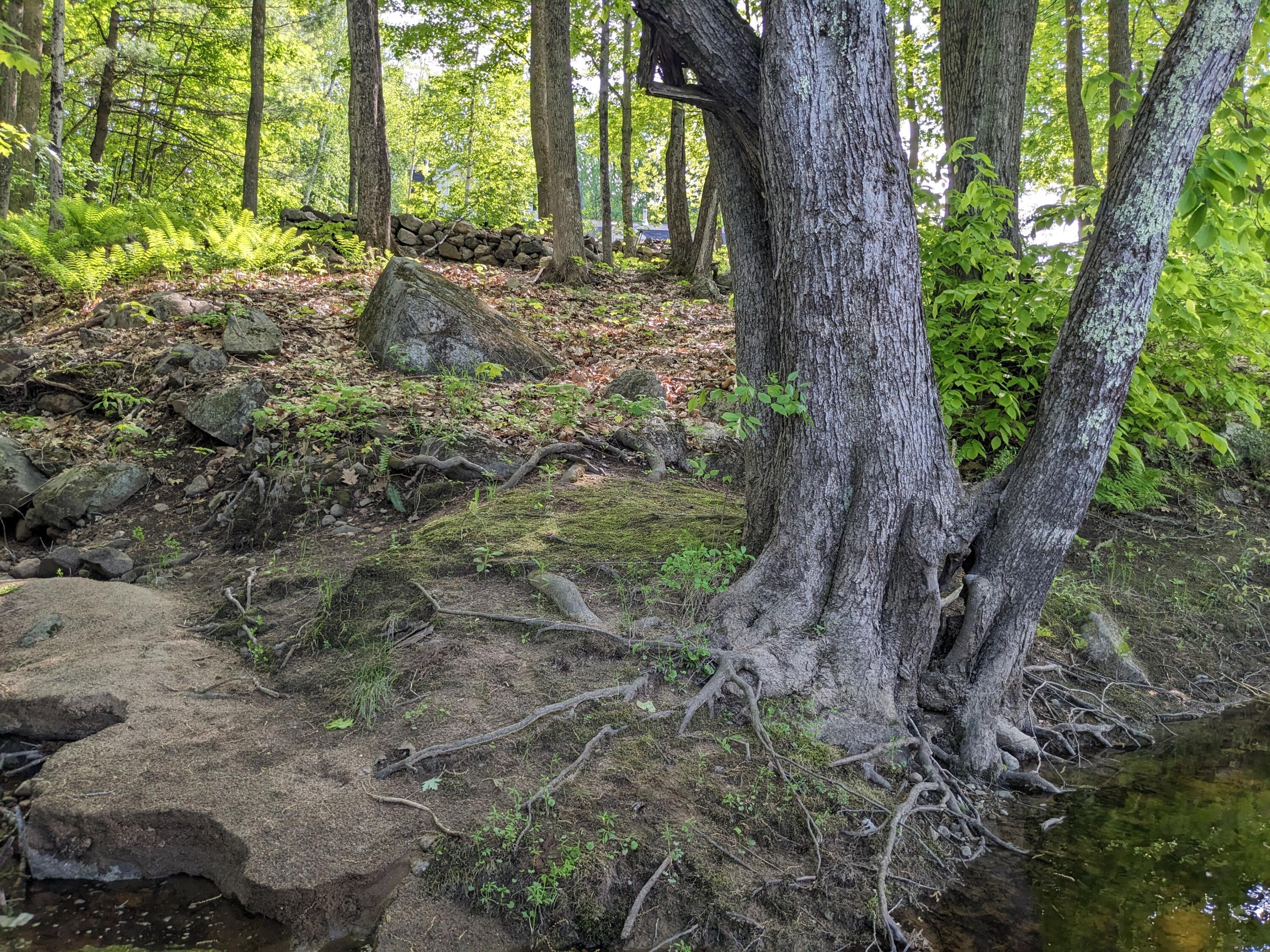 25 Bridge Street Cornish, ME 04020 - Photo 23 of 33 PXL_20230522_201555456