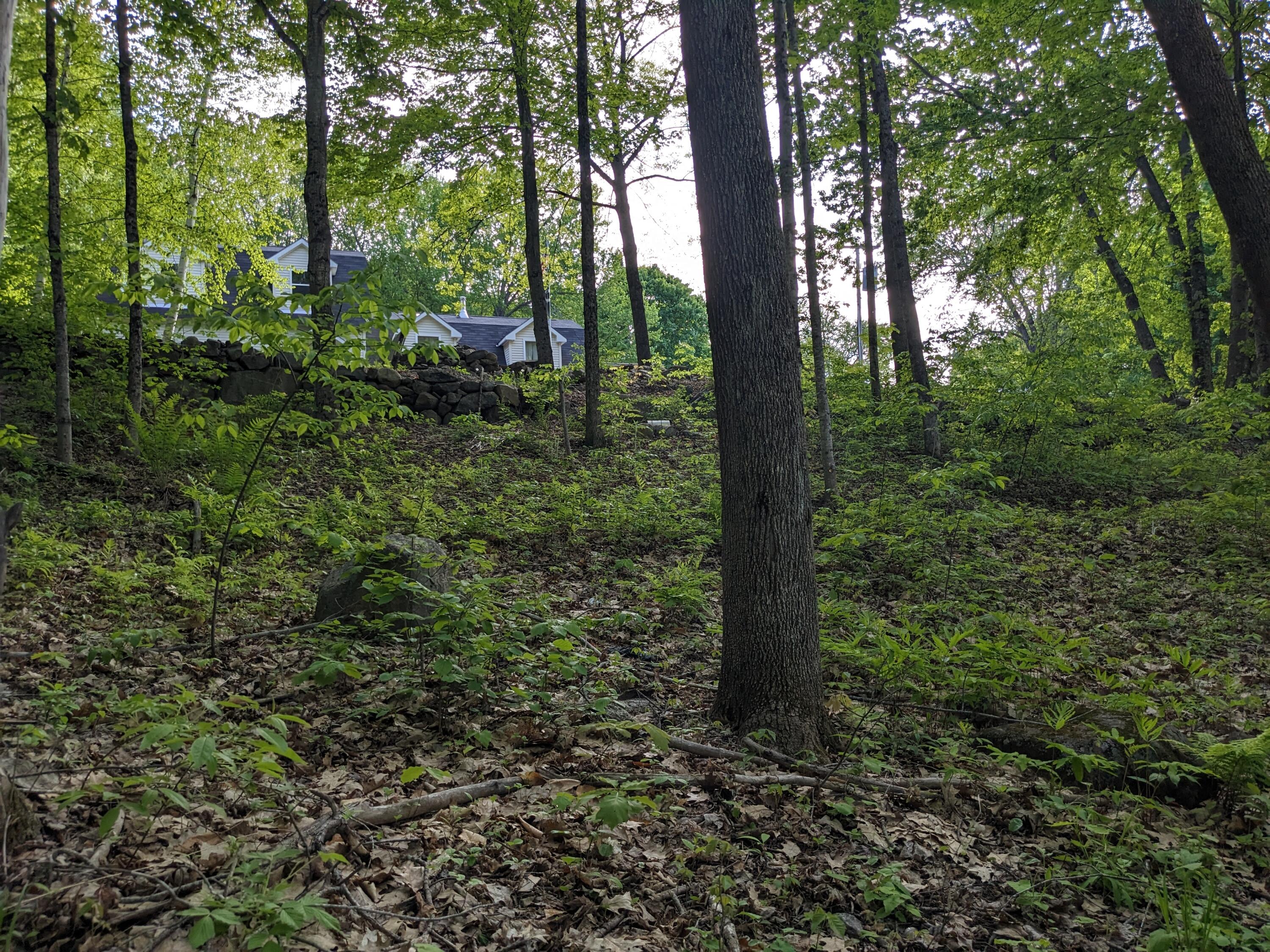 25 Bridge Street Cornish, ME 04020 - Photo 24 of 33 PXL_20230522_201631595