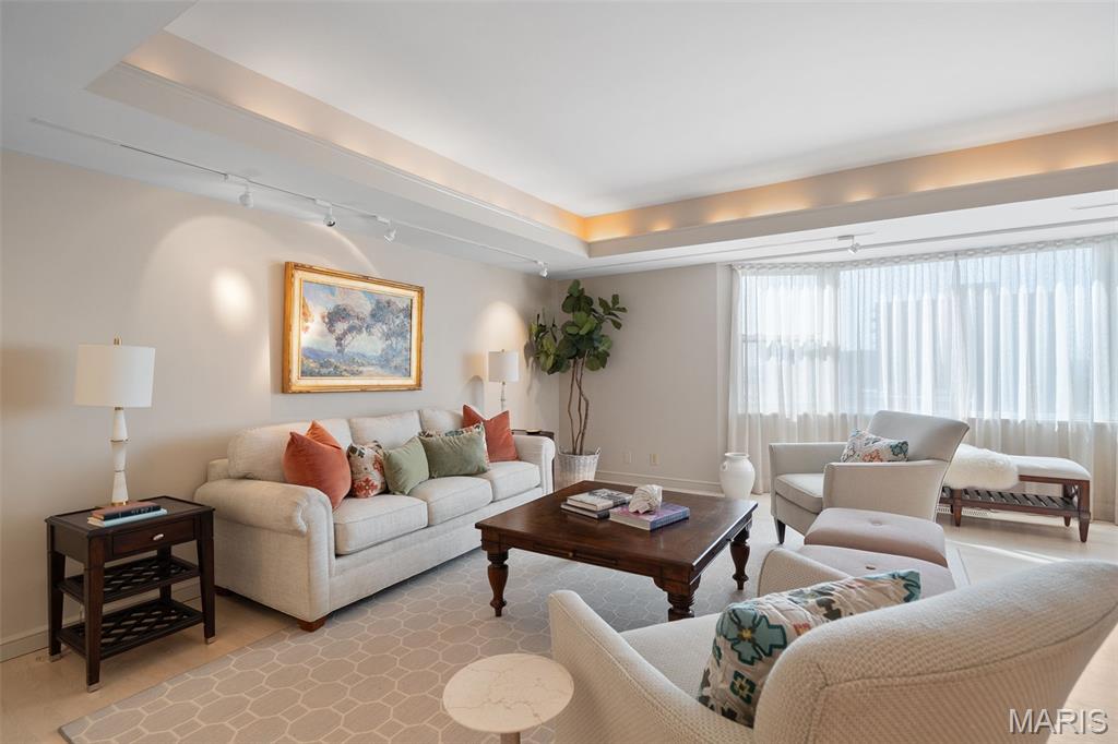 710 South Hanley Road, Unit 17C Clayton, MO 63105 - Photo 11 of 64