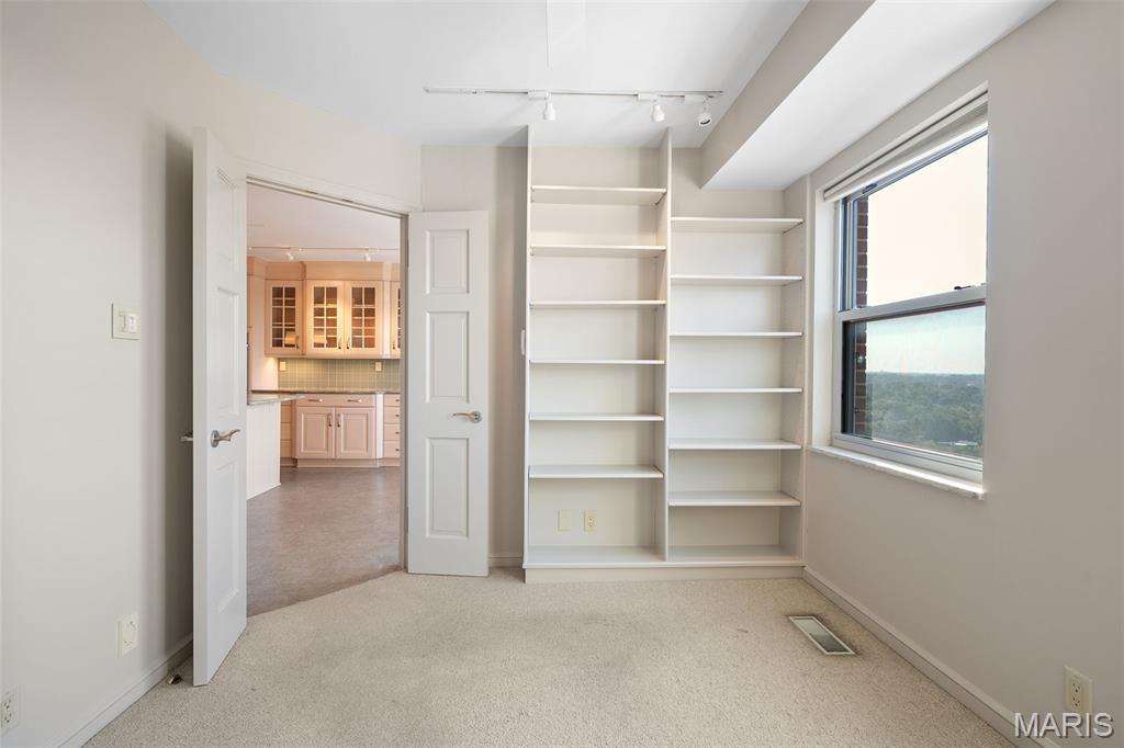 710 South Hanley Road, Unit 17C Clayton, MO 63105 - Photo 22 of 64