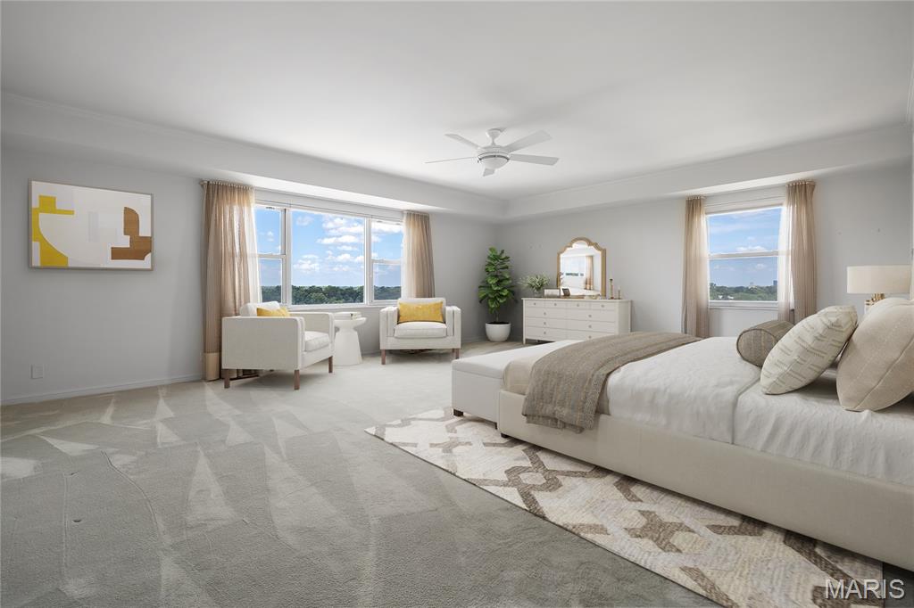 710 South Hanley Road, Unit 17C Clayton, MO 63105 - Photo 27 of 64