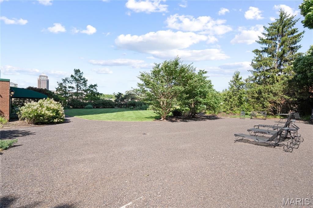 710 South Hanley Road, Unit 17C Clayton, MO 63105 - Photo 58 of 64