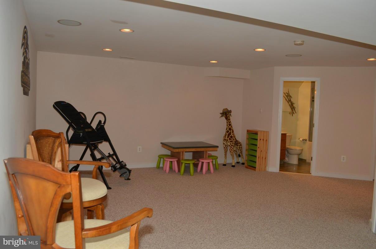 8071 High Castle Road Ellicott City, MD 21043 - Photo 22 of 30 Basement