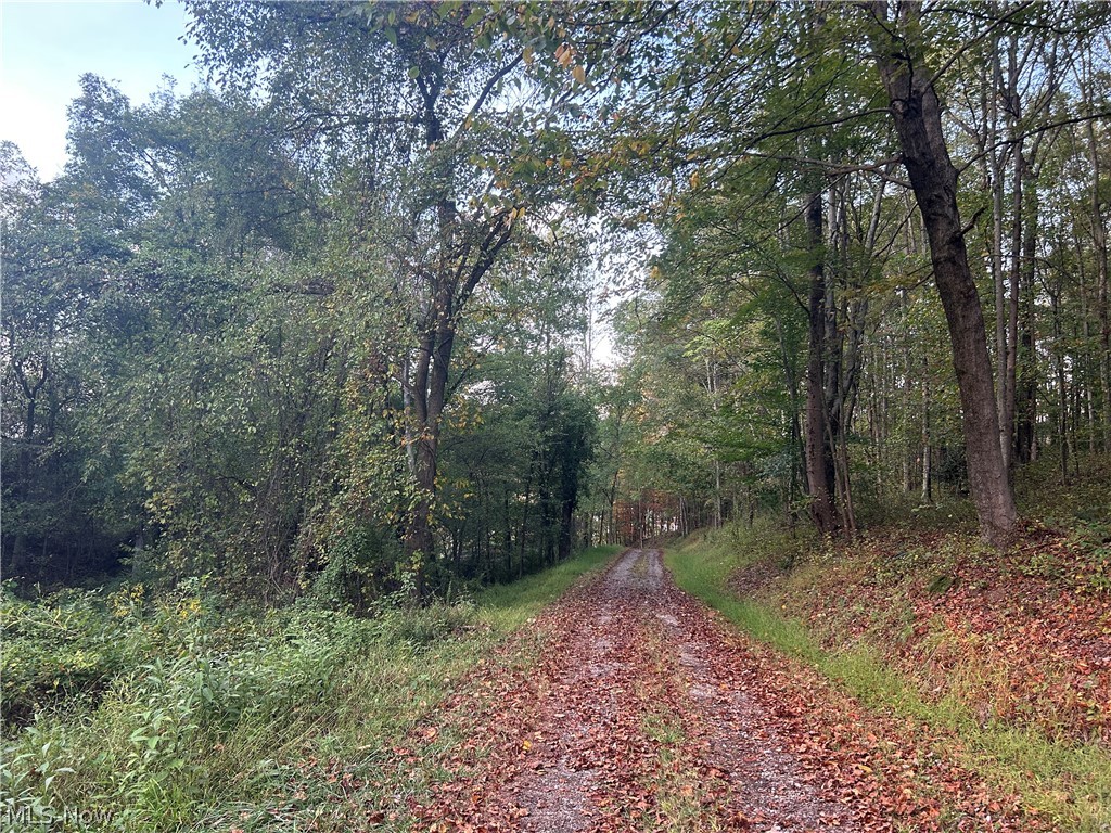 8188 Dozer Road Cambridge, OH 43725 - Photo 8 of 26