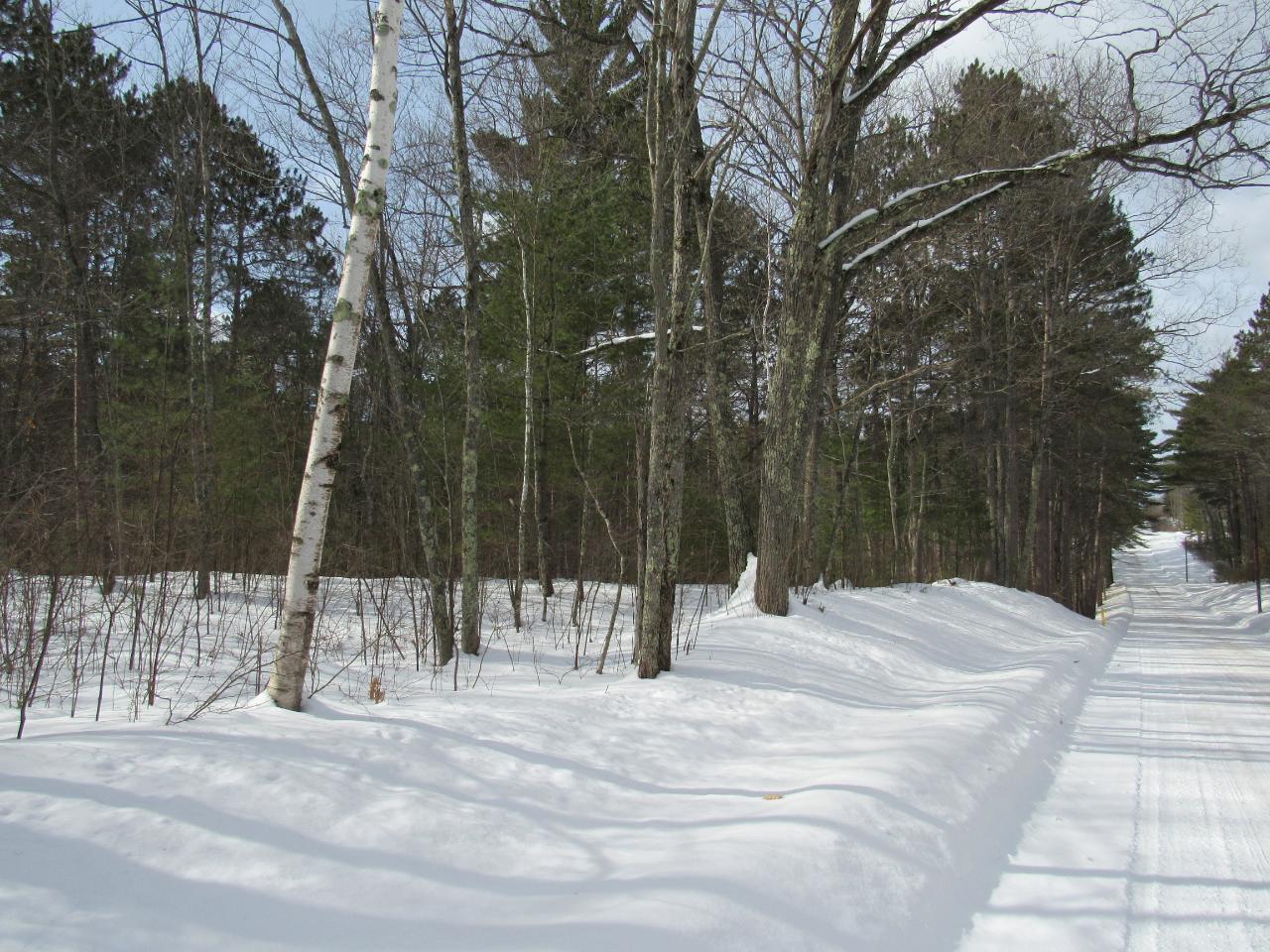 0 Bolger Lake Road Minocqua, WI 54548 - Photo 19 of 21 Gallery Image 19