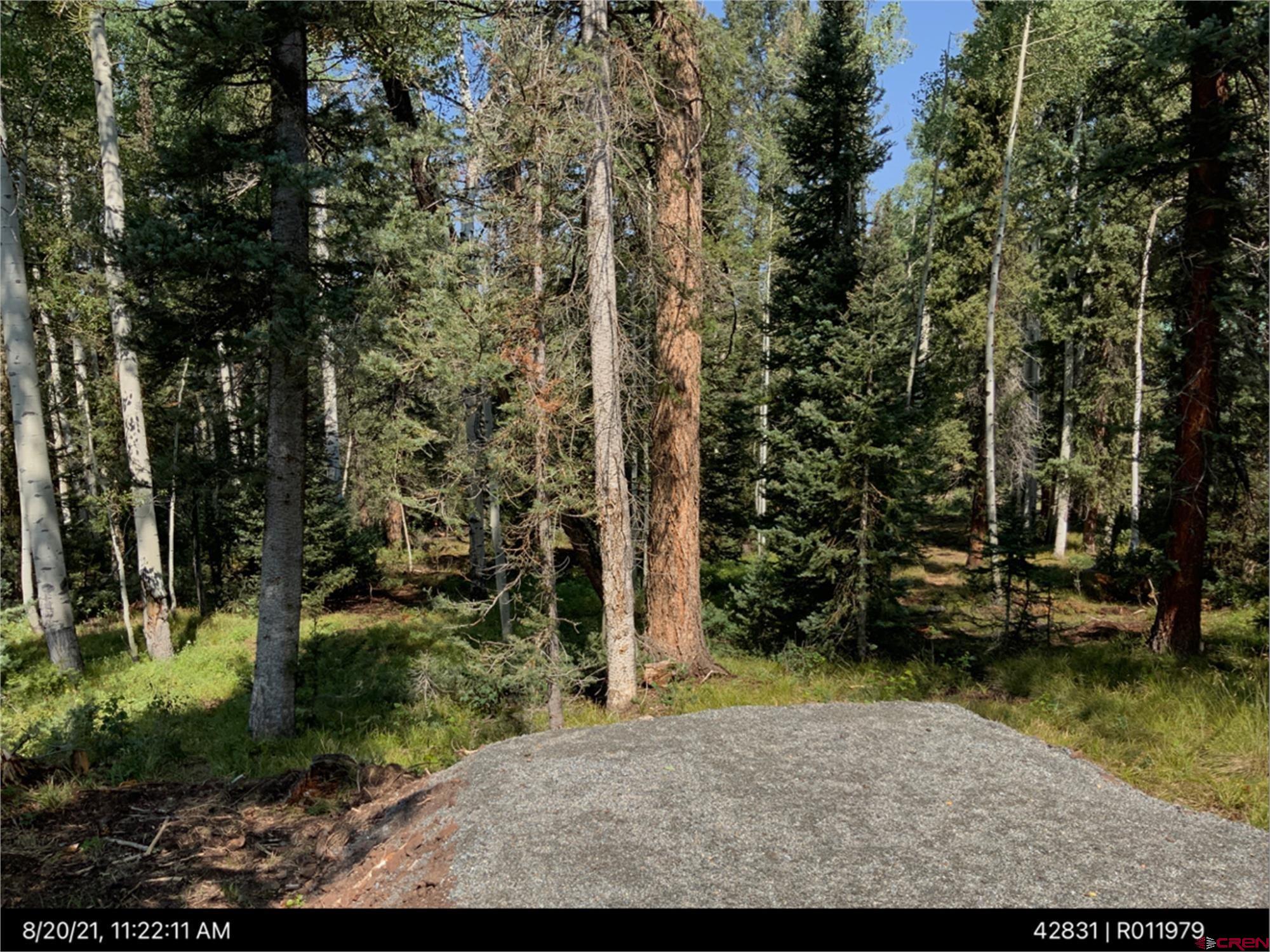 603 Spruce Road Cimarron, CO 81220 - Photo 2 of 13 Gallery Image 2