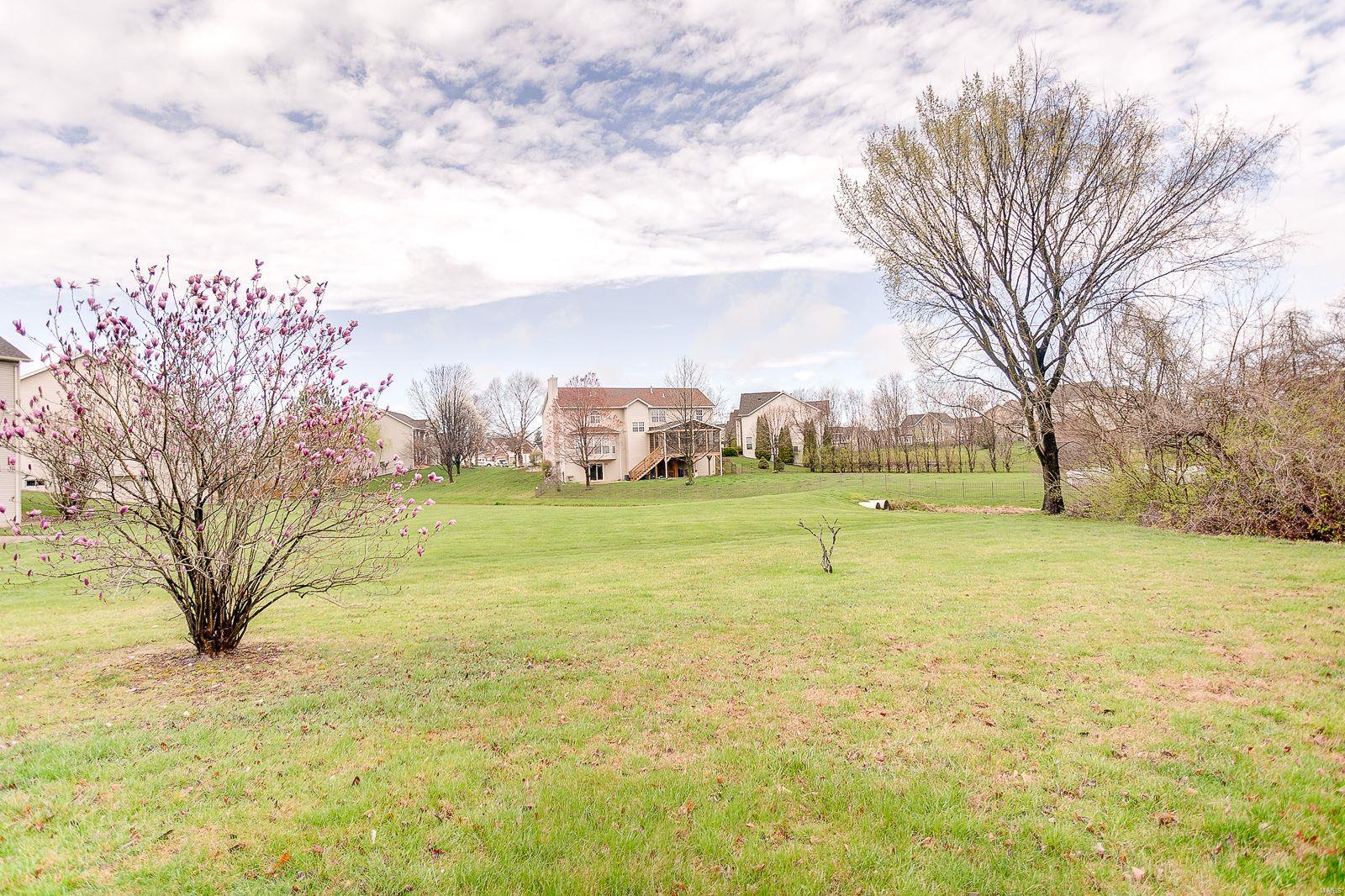 1265 Ruppel Lane O'Fallon, IL 62269 - Photo 60 of 71