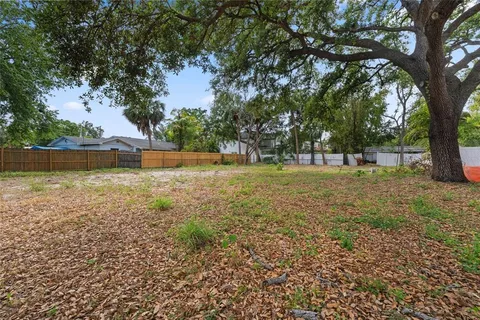 a view of a park with large trees