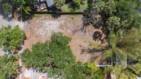 a view of a yard with plants and a bench