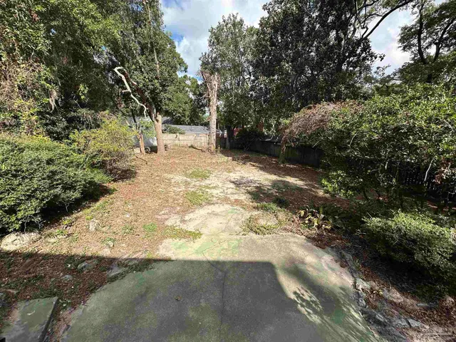 a view of a yard with a tree