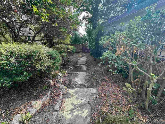 a view of a yard with plants and trees