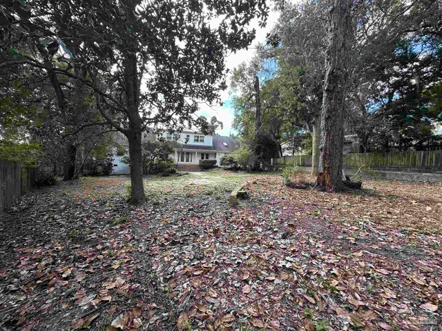 a backyard of a house with lots of green space