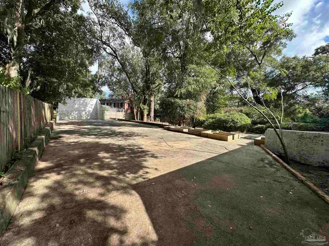 a view of road with large trees