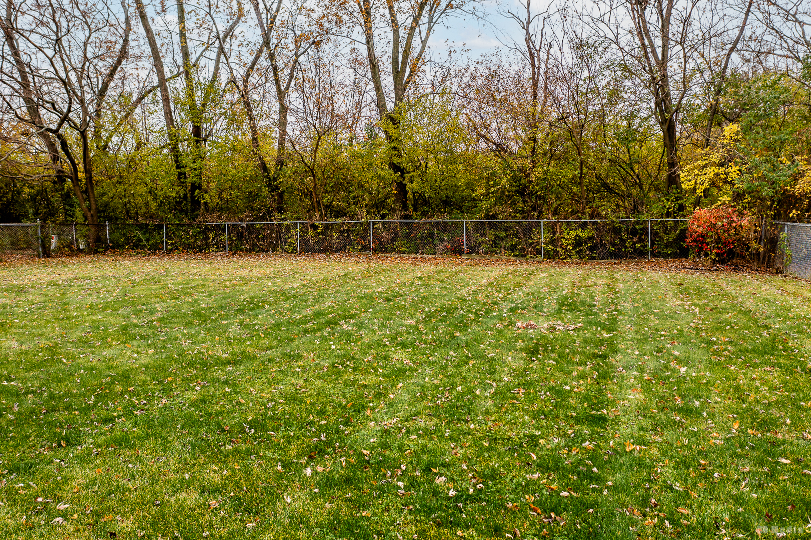 5503 Georgetown Drive Matteson, IL 60443 - Photo 6 of 27