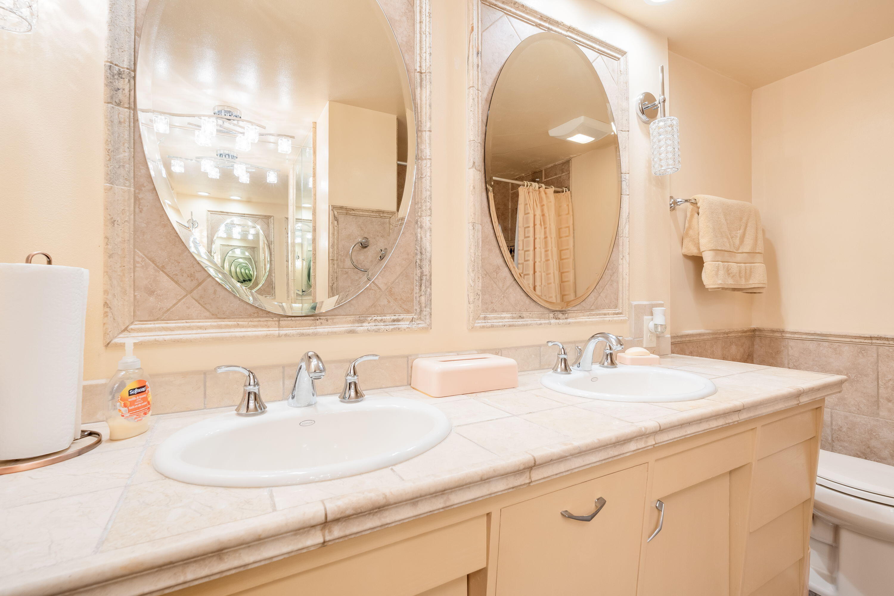 1610 North Prospect Avenue, Unit 903 Milwaukee, WI 53202 - Photo 14 of 26 EnSuite Bathroom