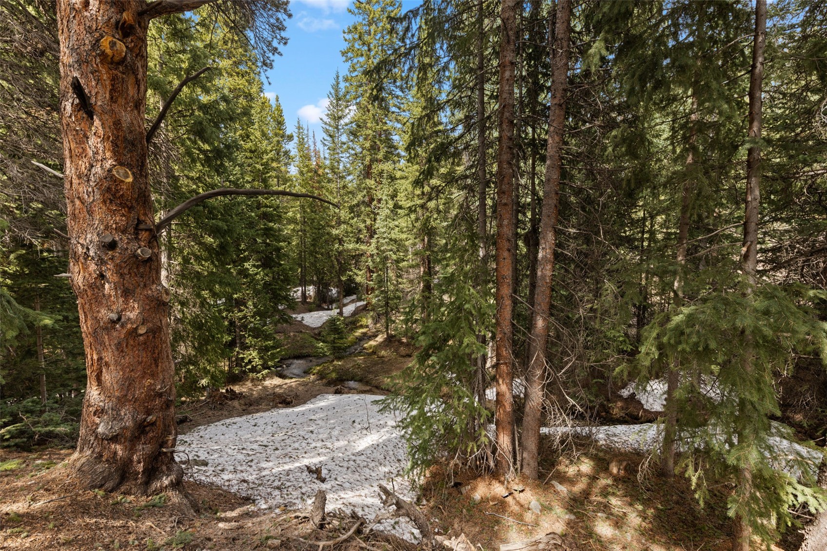 283 Range Road, Unit 4 Breckenridge, CO 80424 - Photo 32 of 32 View of the natural splendor surrounding this home.