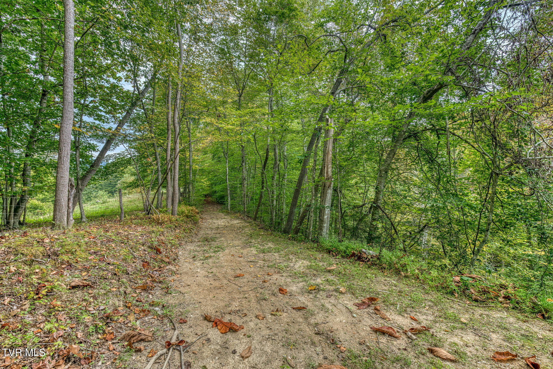 160 Conley Stevens Road Roan Mountain, TN 37687 - Photo 47 of 68 160 Conley Stevens Rd-57