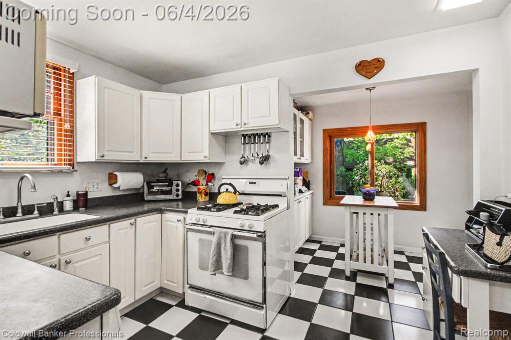 42 Wellesley Drive Pleasant Ridge, MI 48069 - Photo 11 of 33 Gallery Image 11