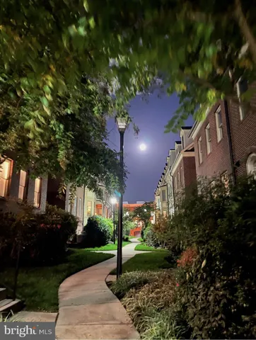 a view of a yard with plants and trees