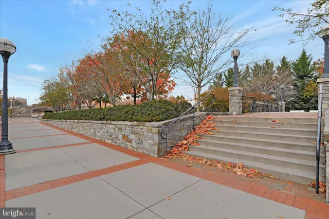 a view of a yard with cars parked