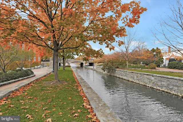 a view of a lake with a large trees