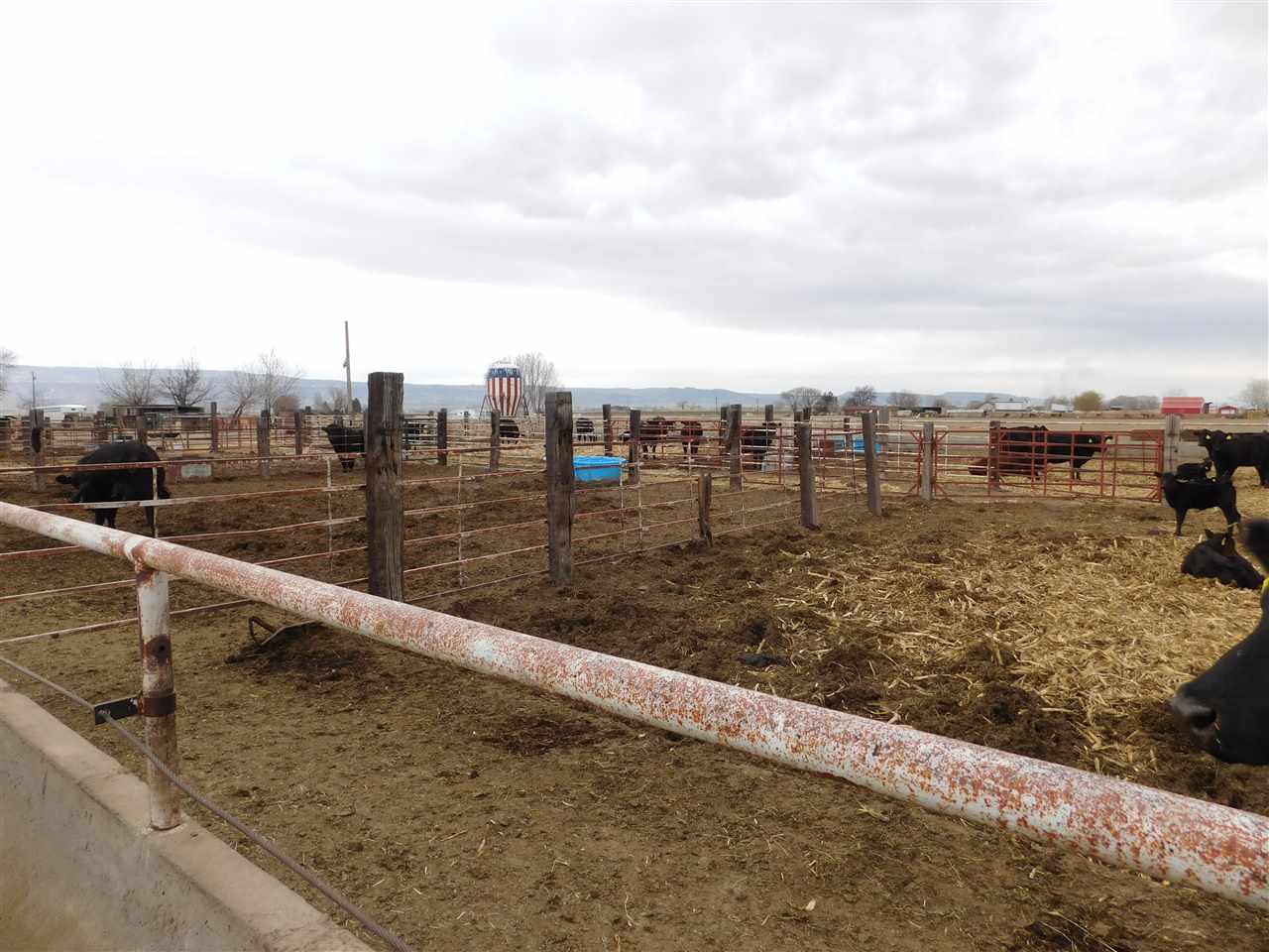 1640 P Road Loma, CO 81524 - Photo 33 of 40 a view of outdoor space with city view