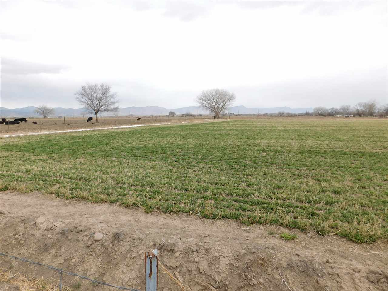 1640 P Road Loma, CO 81524 - Photo 34 of 40 a view of a big yard with an outdoor seating