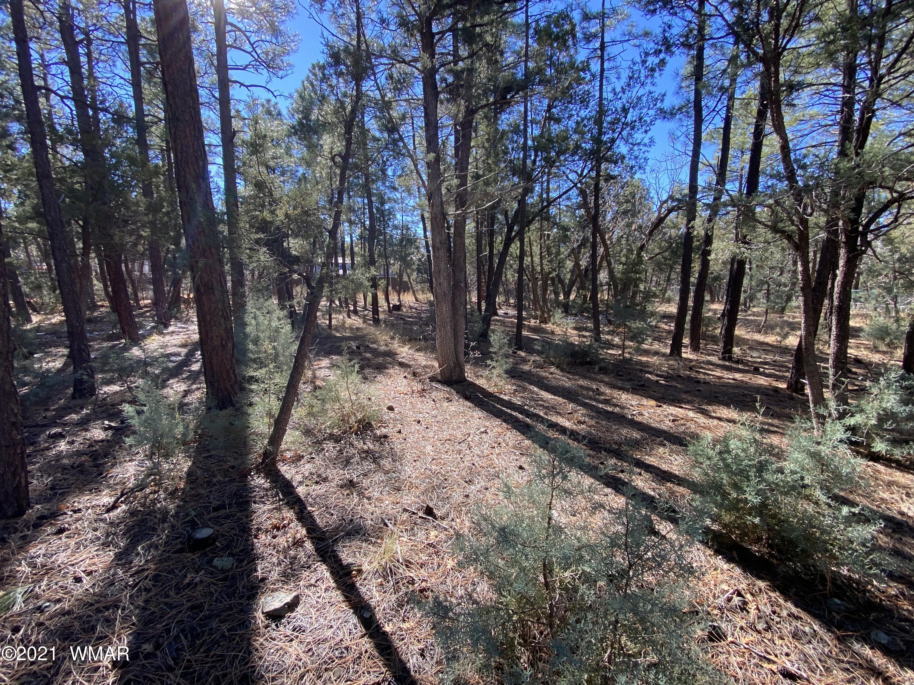 Tbd Tbd Tbd Lakeside, AZ 85929 - Photo 4 of 7