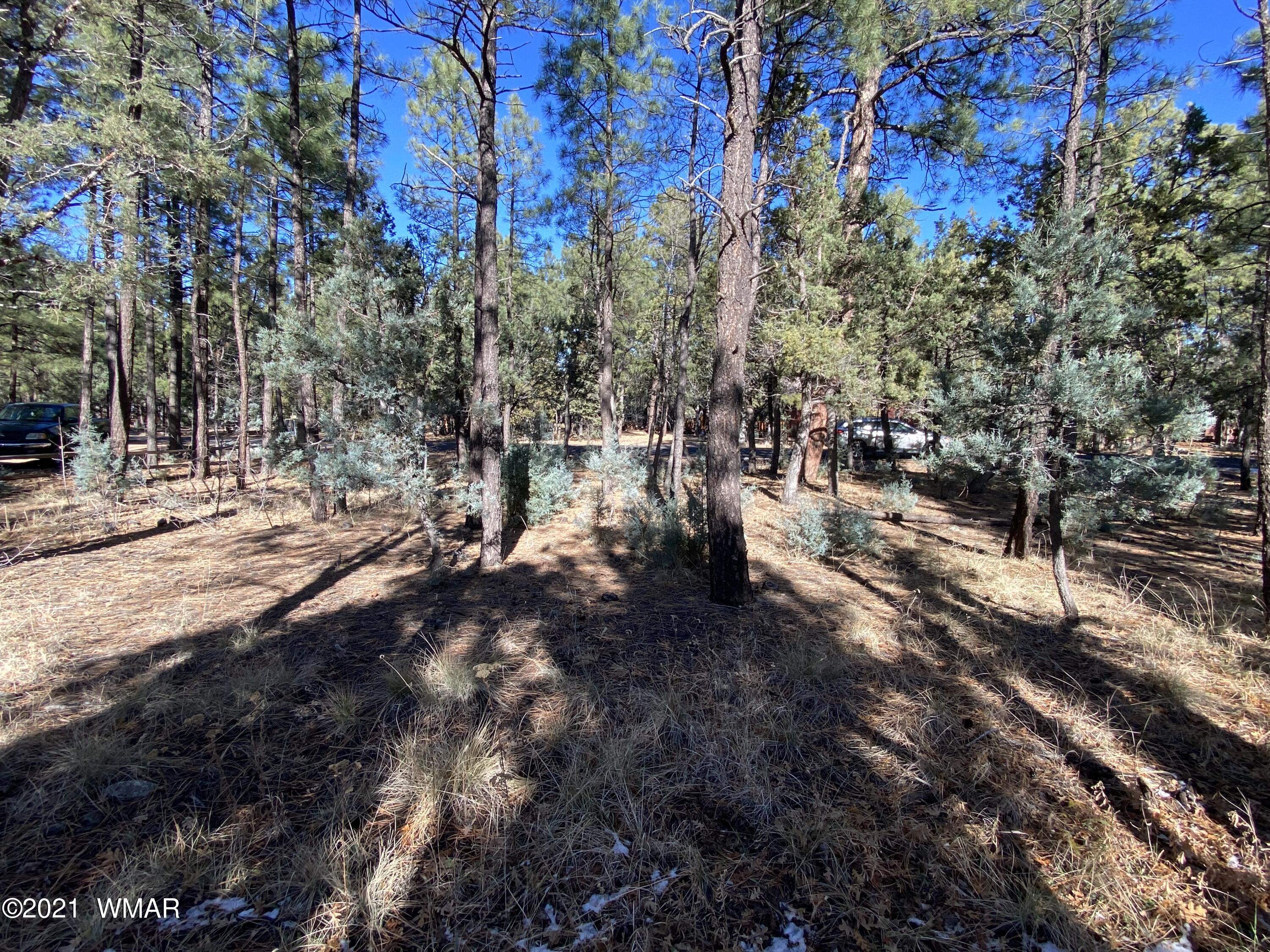 Tbd Tbd Tbd Lakeside, AZ 85929 - Photo 6 of 7