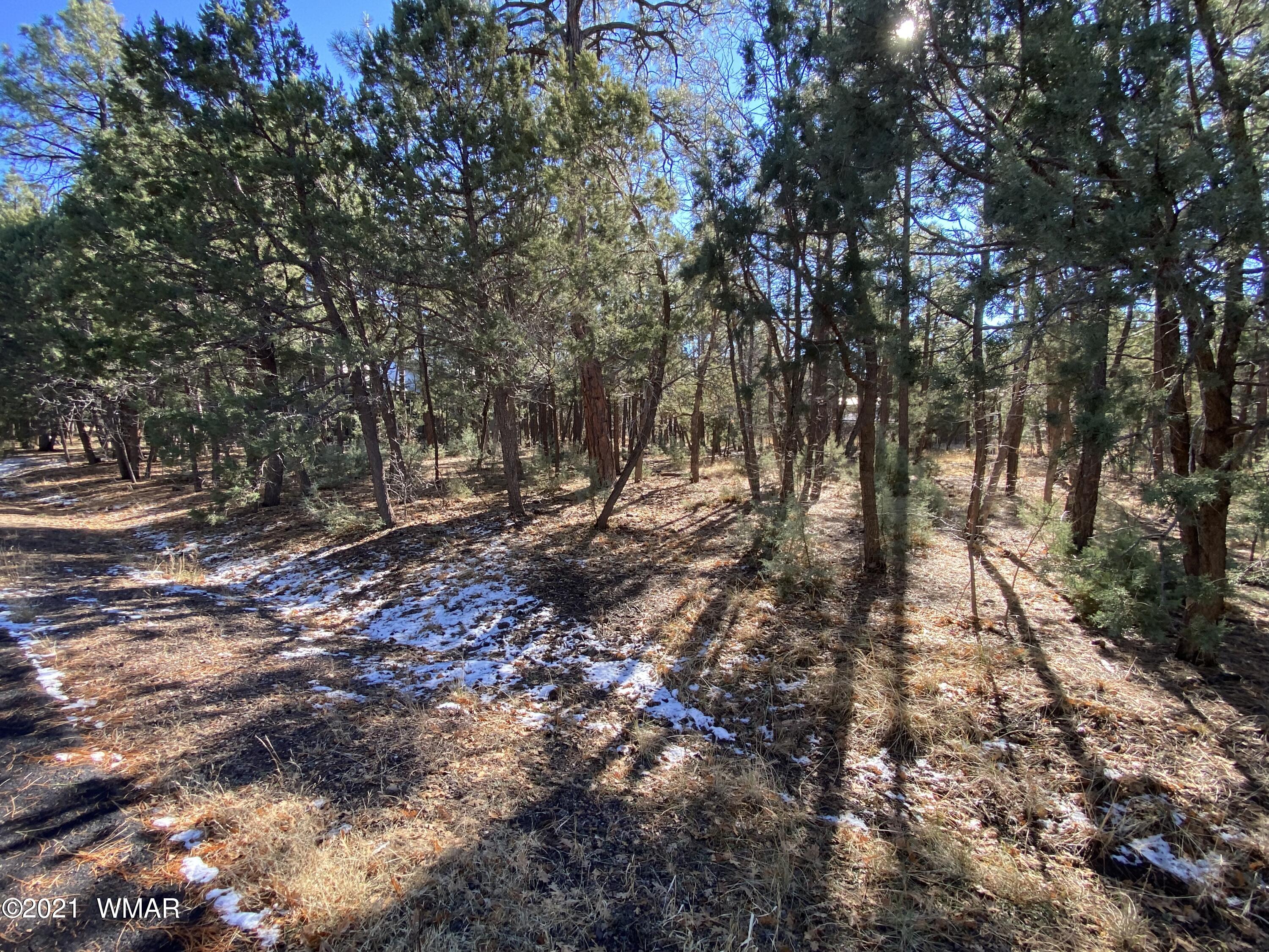 Tbd Tbd Tbd Lakeside, AZ 85929 - Photo 7 of 7