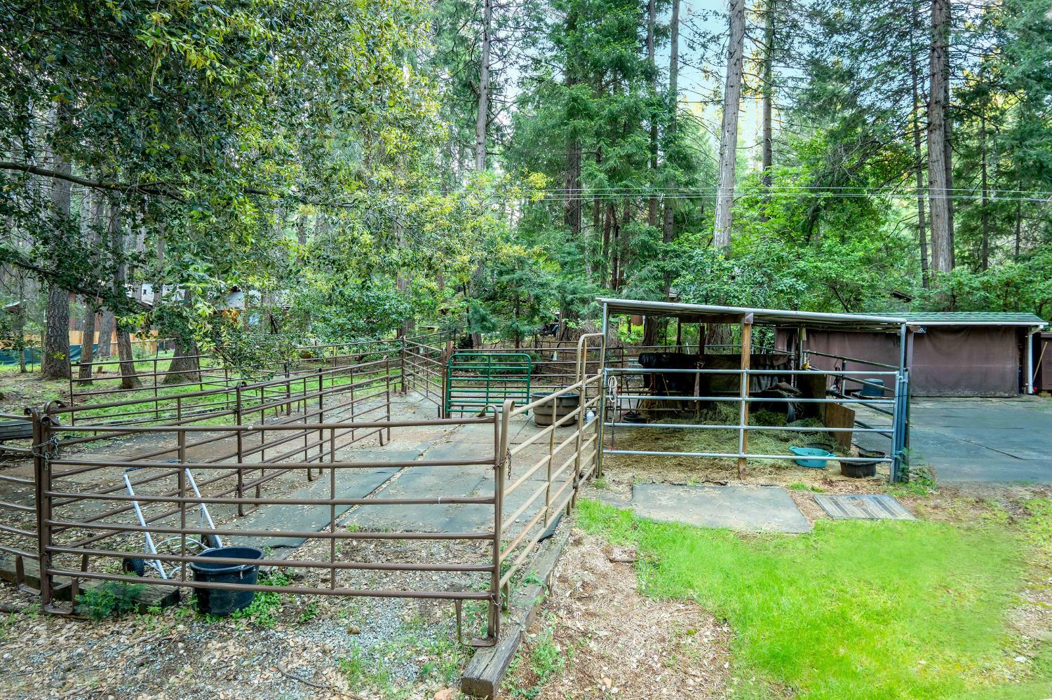 15188 North Bloomfield Road Nevada City, CA 95959 - Photo 63 of 73