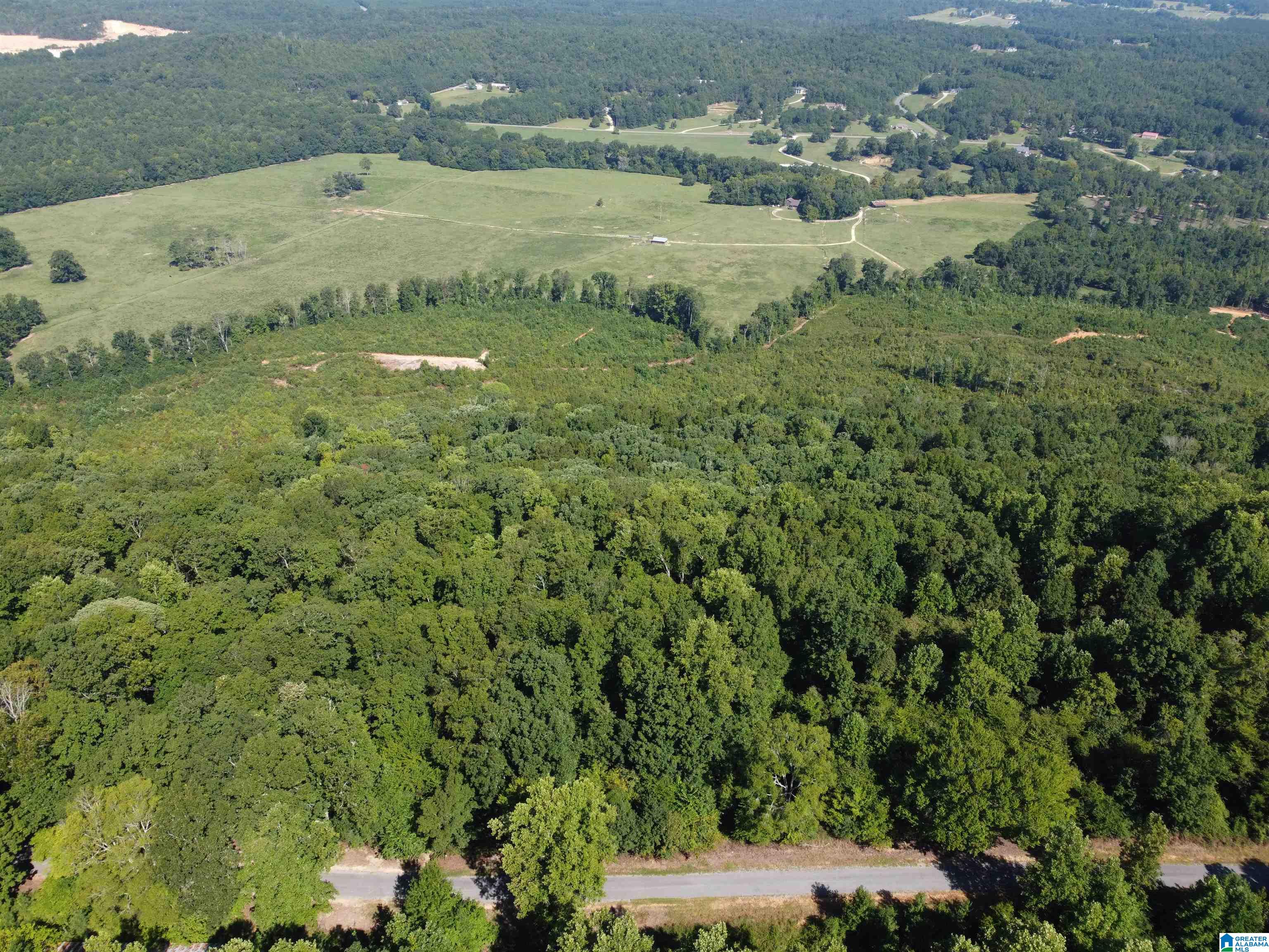 0 Beaver Mountain Road Ashville, AL 35953 - Photo 7 of 40