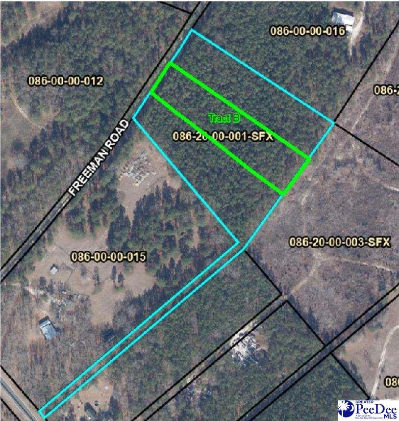 Tbd Tbd Freeman Road Bethune, SC 29009 - Photo 1 of 5 Gallery Image 1