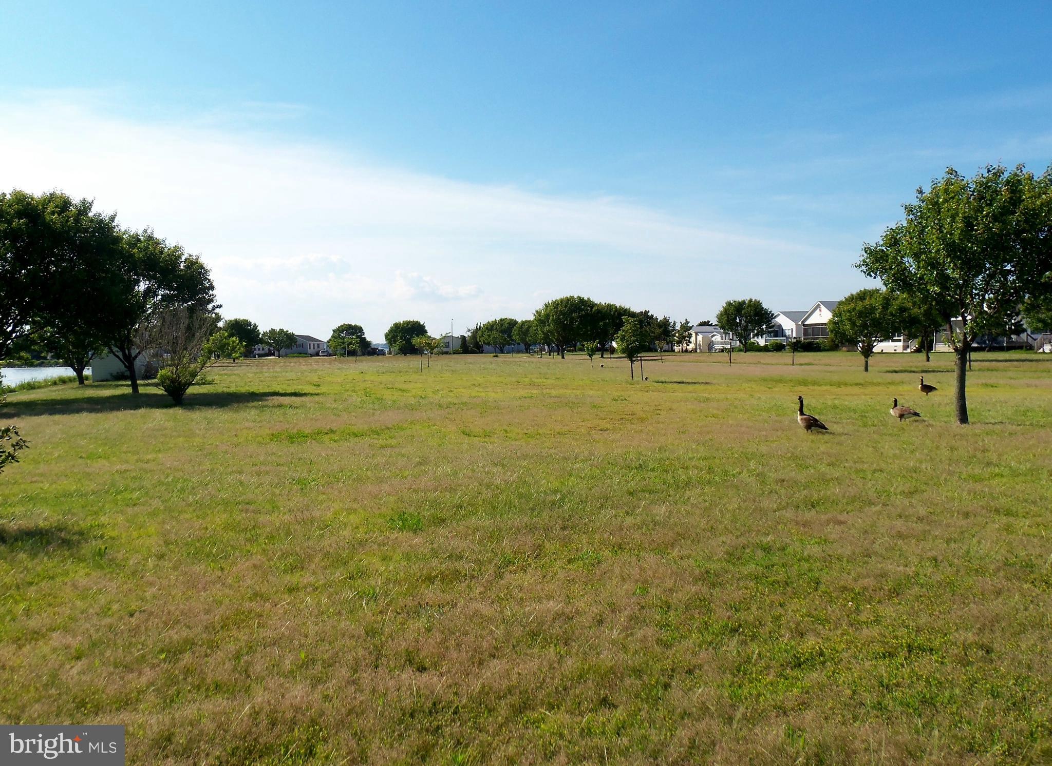 167 Clamshell Road Ocean City, MD 21842 - Photo 9 of 15 Community 5-are park